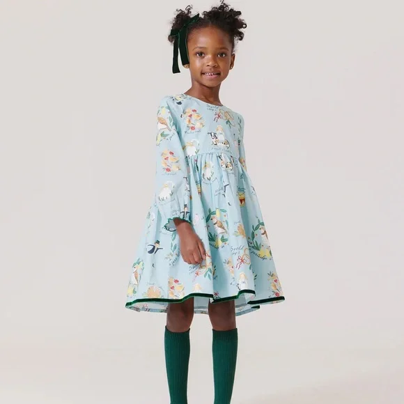 NWT Pink Chicken Girls Amma Dress 12 Days Of Christmas w Velvet Trim Size 6 $100 NWT Pink Chicken Girls Amma Dress 12 Days Of Christmas w Velvet Trim Size 6 $100